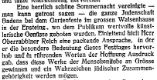 Jüdische Presse, 03.08.1923 // digitalisiert von compactmemory.de